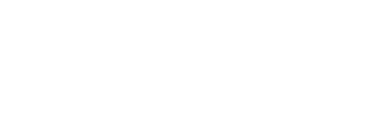 Finanzen Kötemen Logo weiß